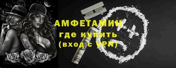 прущие грибы Бородино