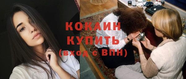 гидра Богородицк