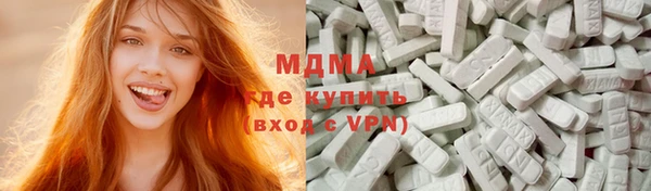 прущие грибы Бородино