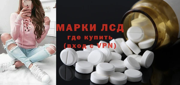 гидра Богородицк