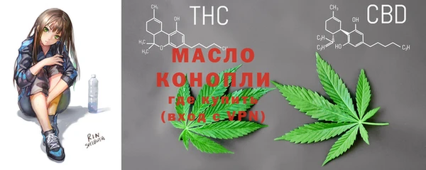 гидра Богородицк