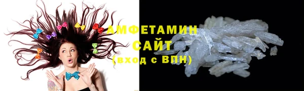 гидра Богородицк