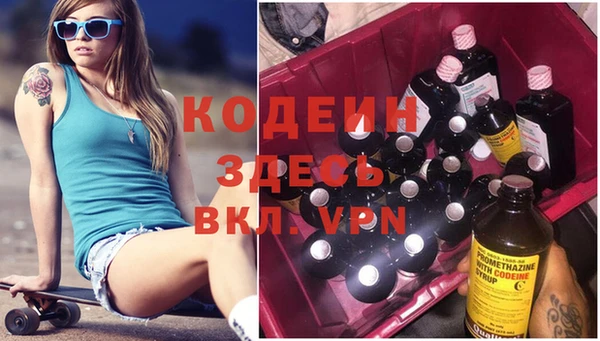 прущие грибы Бородино