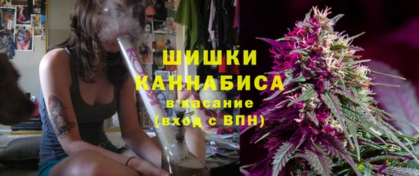 гидра Богородицк