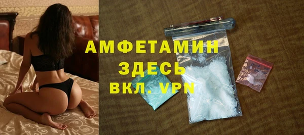 гидра Богородицк