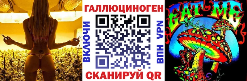 купить наркотики цена  Пересвет  Псилоцибиновые грибы Cubensis 